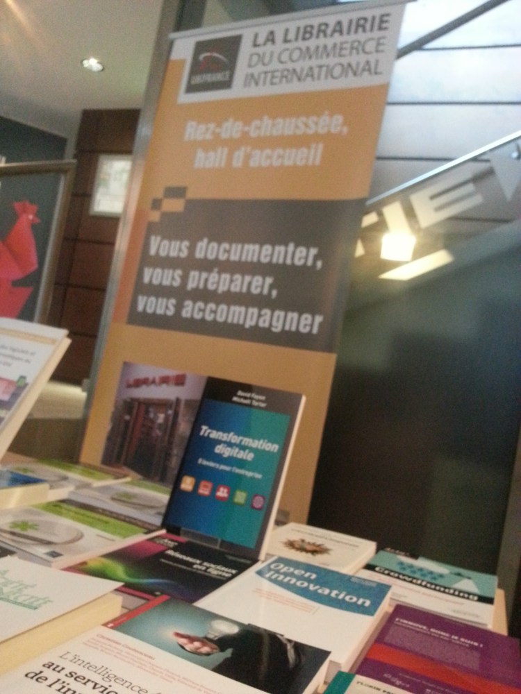 Transformation digitale : 5 leviers pour l'entreprise sélectionné par la librairie UBIFRANCE